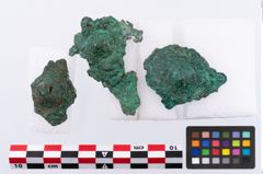 Foto von Bronzehelmknaufnietschieben (NHMW-PRAE-002331)